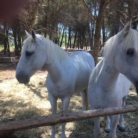 Maison Au Bord De L'eau Villa Aigues-Mortes